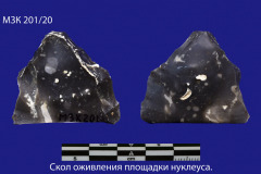 201-20