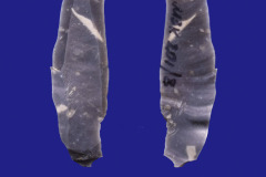 201-8