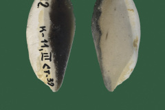 208-36
