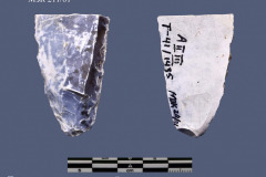 211-81