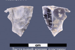 211-91