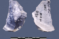 211-95
