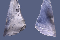 211-99