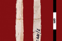 231-1