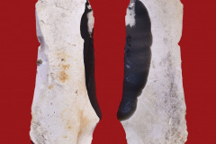 231-7