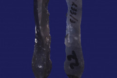 233-3