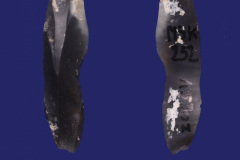 252-1