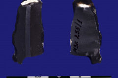 255-1