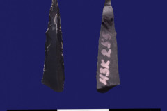 255-2