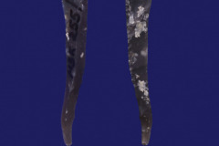 255-4