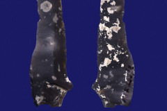 255-8