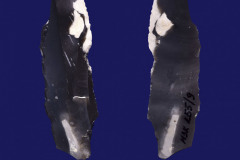 255-9