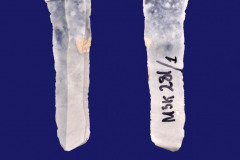 281-1
