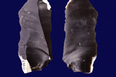 336-1