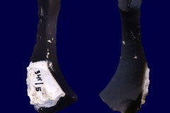 341-5