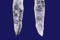 354-8