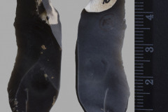 10s