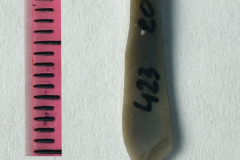 423-20s