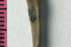 423-28s