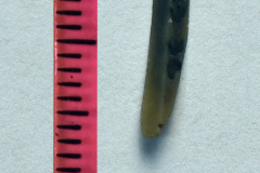 423-38s