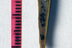 423-9s