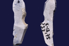 445-11