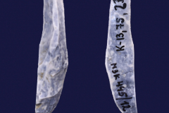 445-12