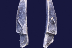 445-13