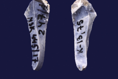 445-17