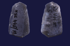 445-19