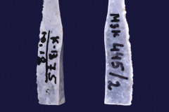 445-2