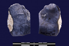 445-20