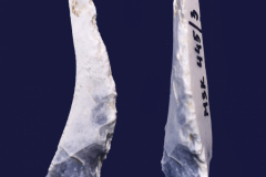 445-3