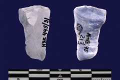 445-31