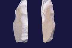 445-4
