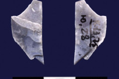 445-5
