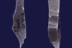 445-6