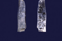 445-8