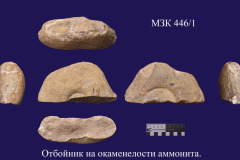 446-1