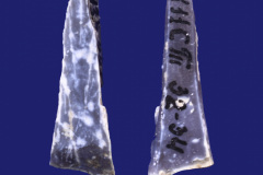448-8