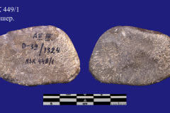 449-1