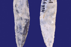 449-19