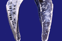 449-21