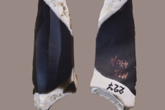 470-11