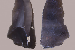 471-4
