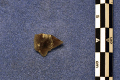 5-66