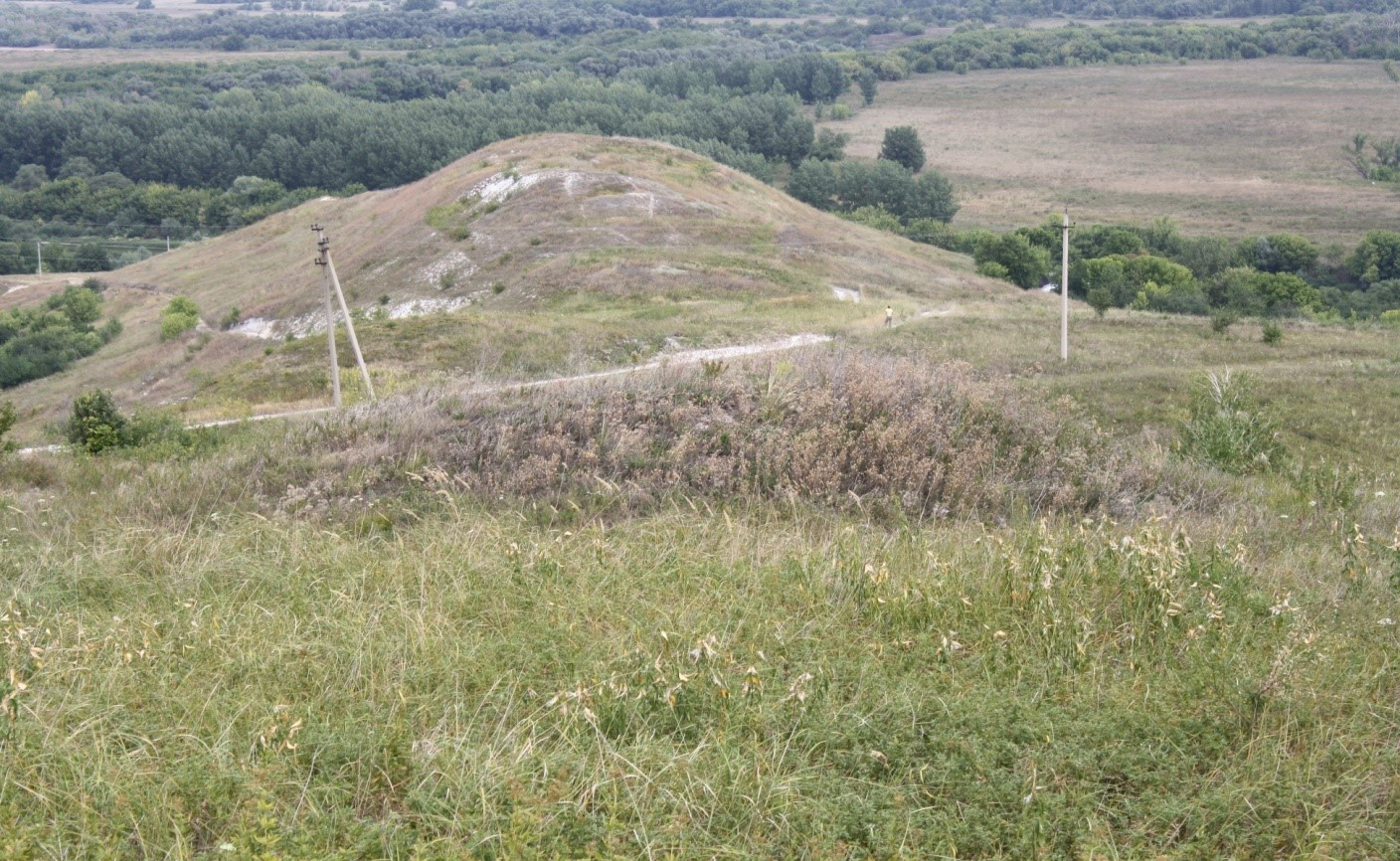 Большое Борщевское городище