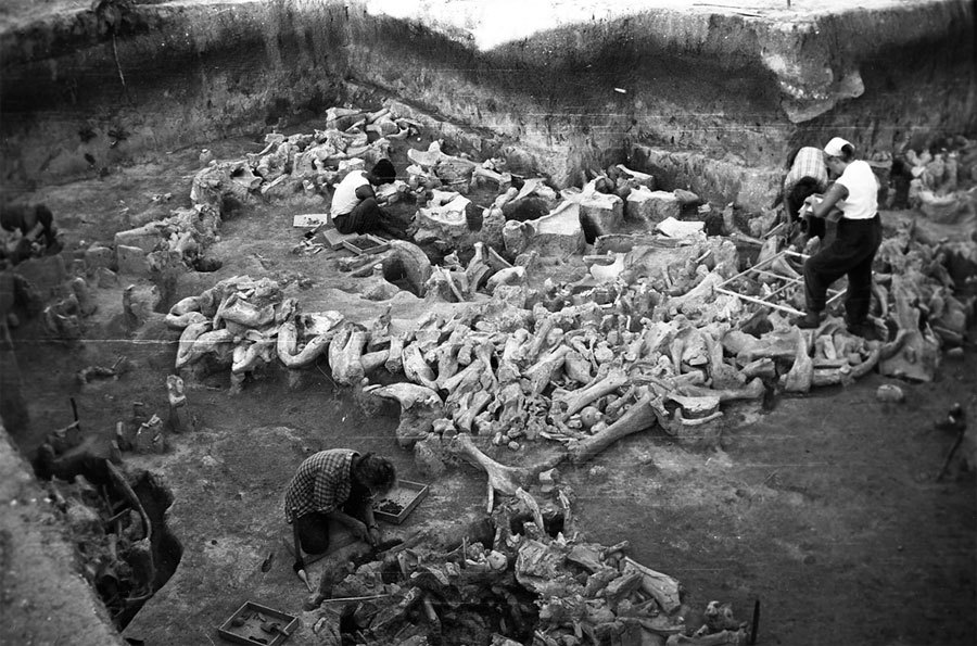 Исследование стоянки Костенки 11 в 1960 году